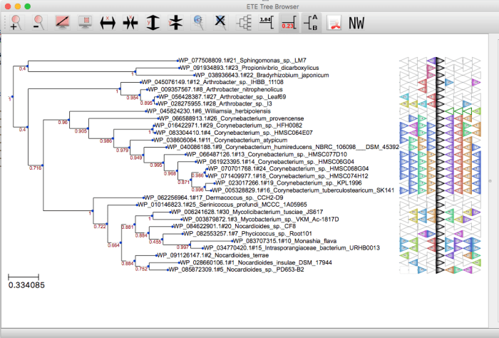 Screen Shot 2018-07-03 at 13.07.44
